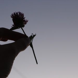 Meet your Posher, Isabella